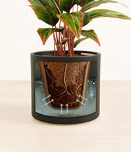 Load image into Gallery viewer, Black stand:all