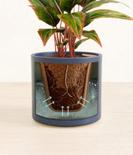 Load image into Gallery viewer, Deep Navy stand:all