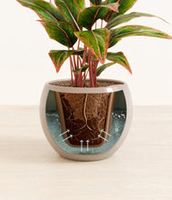 Load image into Gallery viewer, Desert Brown stand:all