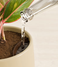 Load image into Gallery viewer, Almond Green stand:all