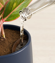 Load image into Gallery viewer, Deep Navy stand:all