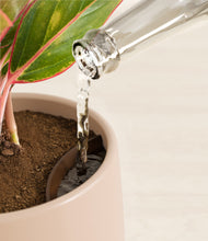 Load image into Gallery viewer, Gentle Pink stand:all