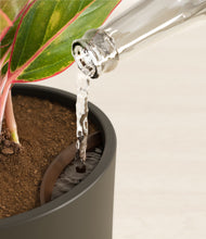 Load image into Gallery viewer, Dark Olive stand:all