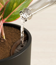 Load image into Gallery viewer, Black stand:all