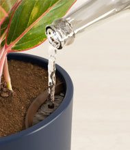 Load image into Gallery viewer, Deep Navy stand:all