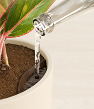 Load image into Gallery viewer, Cream stand:all