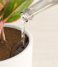 Load image into Gallery viewer, White stand:all