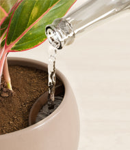 Load image into Gallery viewer, Desert Brown stand:all