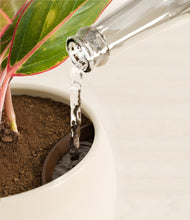 Load image into Gallery viewer, Cream stand:all