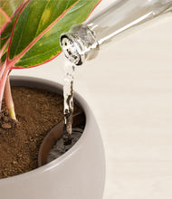 Load image into Gallery viewer, Winter Clouds stand:all