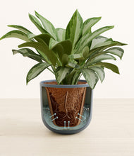 Load image into Gallery viewer, Iron Gray stand:all