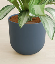 Load image into Gallery viewer, Iron Gray stand:all