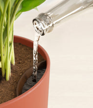 Load image into Gallery viewer, Earth Red stand:all