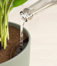 Load image into Gallery viewer, Sage Green stand:all