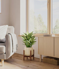 Load image into Gallery viewer, Almond Green stand:walnut