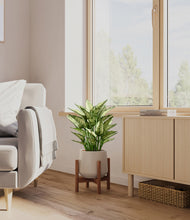 Load image into Gallery viewer, Eternal Gray stand:walnut