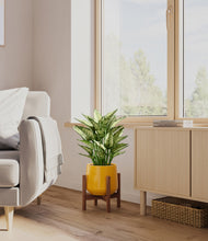 Load image into Gallery viewer, Mustard stand:walnut