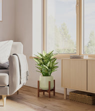 Load image into Gallery viewer, Turquoise stand:walnut