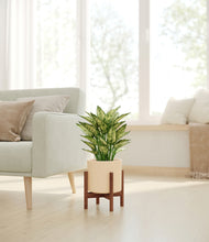 Load image into Gallery viewer, Cream stand:walnut