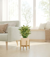 Load image into Gallery viewer, Cream stand:bamboo