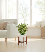 Load image into Gallery viewer, White stand:walnut