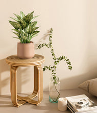 Load image into Gallery viewer, Gentle Pink