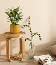 Load image into Gallery viewer, Mustard