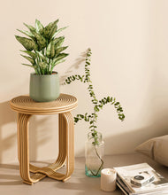 Load image into Gallery viewer, Turquoise