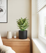 Load image into Gallery viewer, Black