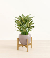 Load image into Gallery viewer, Winter Clouds stand:bamboo