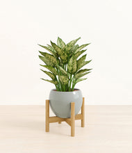 Load image into Gallery viewer, Deep Ocean stand:bamboo