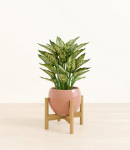 Load image into Gallery viewer, Calm Rose stand:bamboo