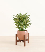 Load image into Gallery viewer, Calm Rose stand:walnut