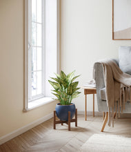 Load image into Gallery viewer, Deep Navy stand:walnut