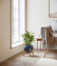 Load image into Gallery viewer, Deep Navy stand:bamboo