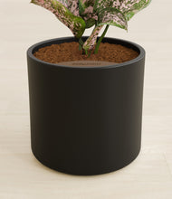 Load image into Gallery viewer, Black stand:all