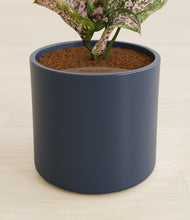 Load image into Gallery viewer, Deep Navy stand:all