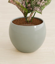 Load image into Gallery viewer, Deep Ocean stand:all