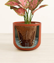 Load image into Gallery viewer, Earth Red