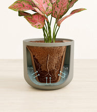 Load image into Gallery viewer, Sage Green