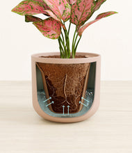 Load image into Gallery viewer, Sandy Pink