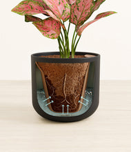 Load image into Gallery viewer, Stone Black