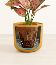 Load image into Gallery viewer, Sunset Orange