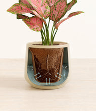 Load image into Gallery viewer, Almond Green stand:all