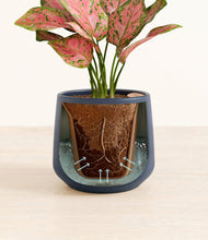 Load image into Gallery viewer, Deep Navy stand:all