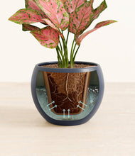 Load image into Gallery viewer, Deep Navy stand:all