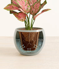 Load image into Gallery viewer, Deep Ocean stand:all