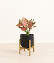 Load image into Gallery viewer, Stone Black stand:bamboo