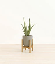 Load image into Gallery viewer, Sage Green stand:bamboo