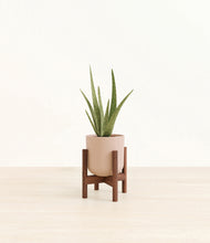 Load image into Gallery viewer, Sandy Pink stand:walnut